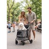 Lightweight Pet Stroller for Dogs & Cats, 7kg Capacity