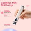 Mini Flash Cure Handheld UV Nail Lamp with Stand, Cat