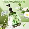 TWG 艾草除螨止痒持久留香除蟎沐浴露 Wormwood Anti Bacterial Soap Body Wash Shower Gel