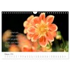 Dahlien Poesie (Wandkalender 2026 DIN A4 quer), CALVENDO Monatskalender: Dahlien