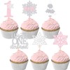 Winter Onederland Cupcake Topper Snowflakes One 1st Birthday Party Decoration