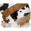 Pet Costume - Cowgirl (X-SMALL)