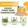 Canephron Canephron N Dragées Urinary Tract Tablets (Pack of 60)
