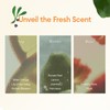 FAN BEAUTY DIARY Pomelo & Soapberry Purifying Shower Gel |