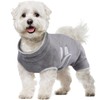 Hjumarayan Dog Bathrobe - Absorbent Bathrobe Dog Quick Drying Dog