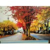 PACIFIC NORTHWEST BEAUTIFUL PHOTO POST CARD DOWNTOWN KINGSTON WASHINGTON