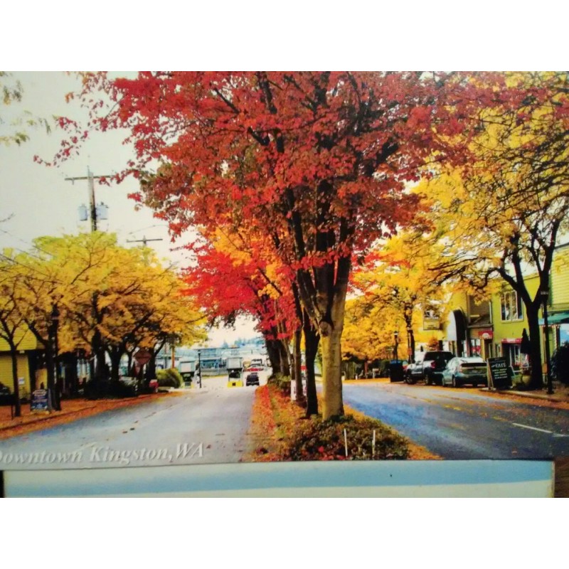 PACIFIC NORTHWEST BEAUTIFUL PHOTO POST CARD DOWNTOWN KINGSTON WASHINGTON