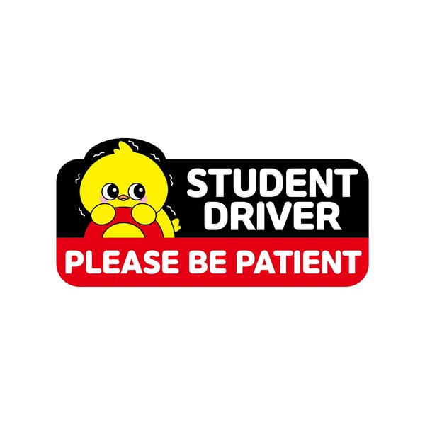 Student Driver Car Magnet Cute Chick - Weather - Resistant