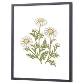 Larson Juhl Nippon D816 Picture Frame, black