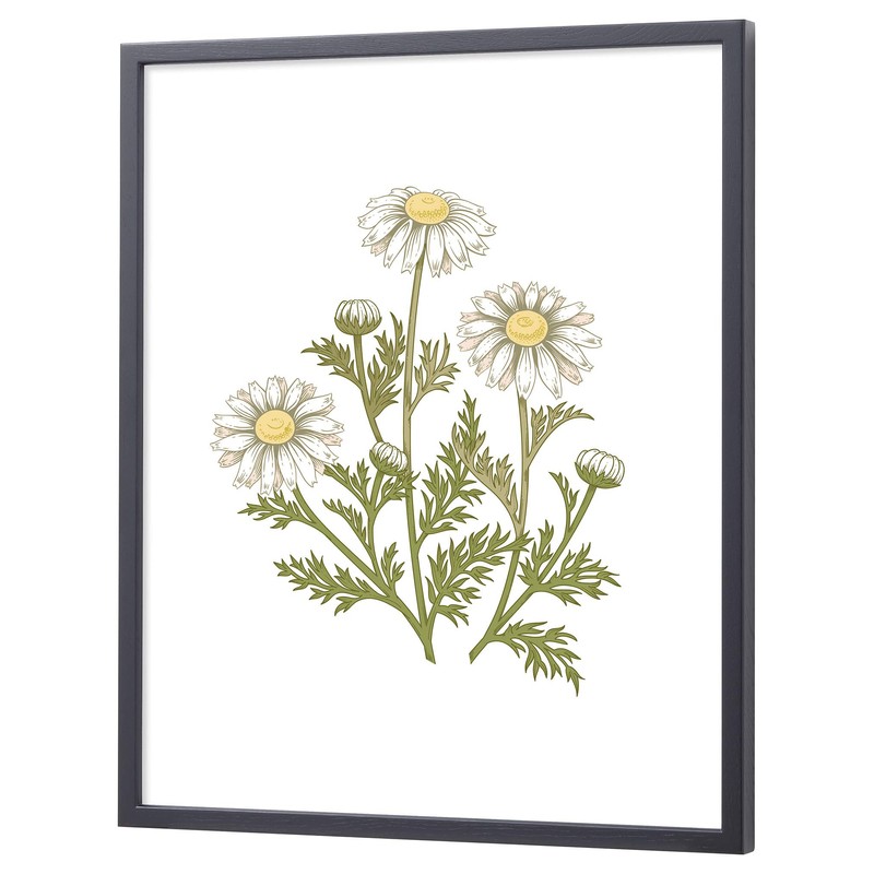 Larson Juhl Nippon D816 Picture Frame, black