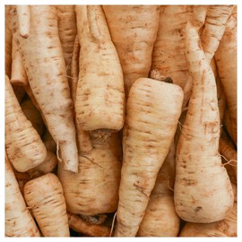 Everwilde Farms - 1 Oz Hollow Crown Parsnip Seeds - Gold Vault