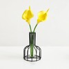 2 Pcs Black Flower Vase with Metal Frame, Clear Glass