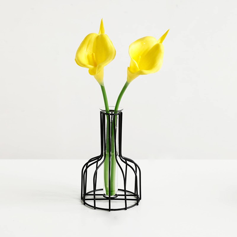 2 Pcs Black Flower Vase with Metal Frame, Clear Glass