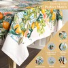 Maison d' Hermine 100% Cotton 54 Inch x 54 Inch