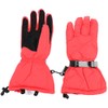 Boodun 1 Pair Unisex Women Men Winter Sports Skiing Snow