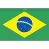 Brazil Flag [Mini Flag Pole with Suction Cup with high-grade