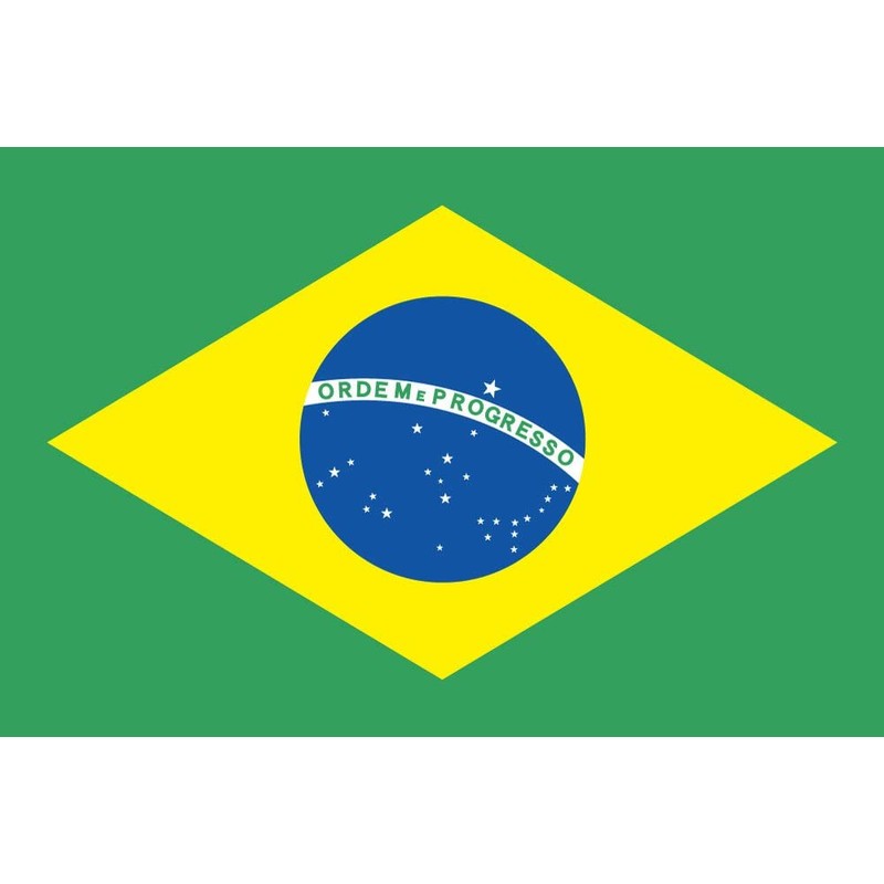 Brazil Flag [Mini Flag Pole with Suction Cup with high-grade