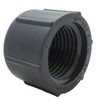 Orbit 1/2 in. FPT Grey Cap 2-Pack
