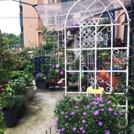 2 Pack Metal Garden Trellis Rustproof Trellis for Climbing Plants Outdoor Flower