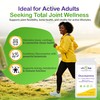 Glucosamine Complex Plus 12-in-1 – High Strength Glucosamine HCl with