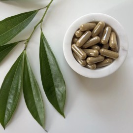 New Orleans Apothecary Cascara Sagrada Capsules | 100% Wild-Crafted | Rhamnus Purshiana | 510mg