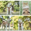 SlowTon No Pull Dog Harness, Heavy Duty No Choke Pet