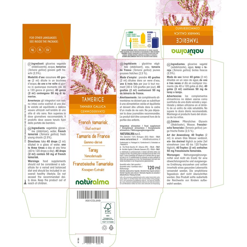 French Tamarisk (Tamarix gallica) Alcohol-Free Bud Extract from Fresh Buds