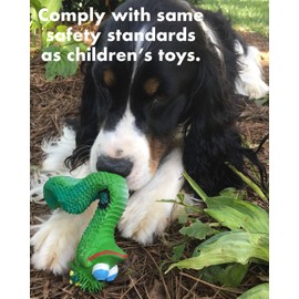 Smiley Snake Sensory Squeaky Rubber Dog Toy for Small & Medium Dogs (Green) Natural Rubber (Latex) Lead Chemical-Free Complies with Same Safety Standards as Children's Toys Soft Unstuffed