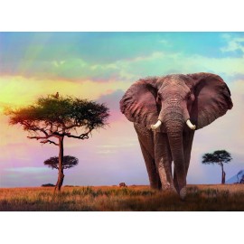 Clementoni Rompecabezas Elefante Atardecer En Africa 500 Pz Clementoni