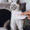 Cloud Cat Brush, 3-in-1 Self-Cleaning Cat Brush Steam Pet Brush