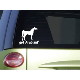 EZ-STIK got Arabian *I745* 6" Wide Sticker Horse Decal