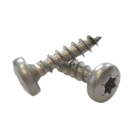 Panhead Screws Stainless Steel 5 x 20 mm - Pack of 100 Full Thread Wood Screws Torx A2