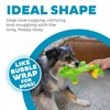 Outward Hound Squeaker Matz Plush Gator Dog Toy, Small