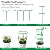 Belit 12 Pack Plant Support Stake, Half Round Plant Support