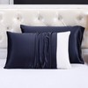 LILYSILK Silk Pillowcase Pillowcase Maximum 25 Momme Natural Silk, Double