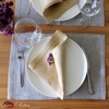 Linen & Cotton Set of 2 Table Mats Placemats Oxford