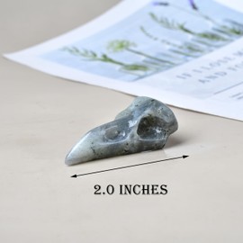 DZJXBZhu Moonstone Raven Skull Figurine Crystal Healing Stone Spiritual Meditation Pocket Figurine Natural Gemston Hand Carved Polished Home Room Office Desk Decoration Gift Collect