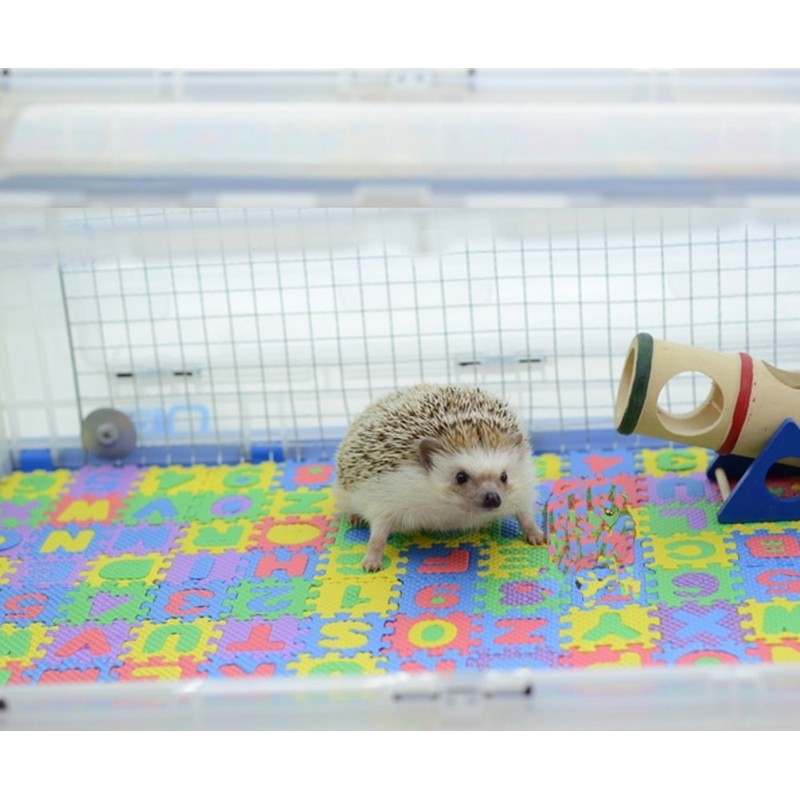 Small EVA Foam Puzzle Floor Play Mat Pets Feeding Box