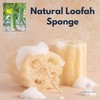 Natürlicher Luffa-Schwamm (2er-Pack) – Loofa-Peeling-Schwamm, ein Körperpeeling-Schrubber für Dusche und