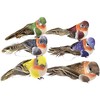 SHANGHh 6 Pieces Colourful Bird Clip Artificial Birds Bubble Bird