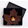 2016 $20 FINE Silver Coin - Canada's Colourful Maple Leaf