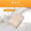 Koizumi Heated Electric Blanket