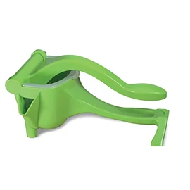 Fruit press juicer