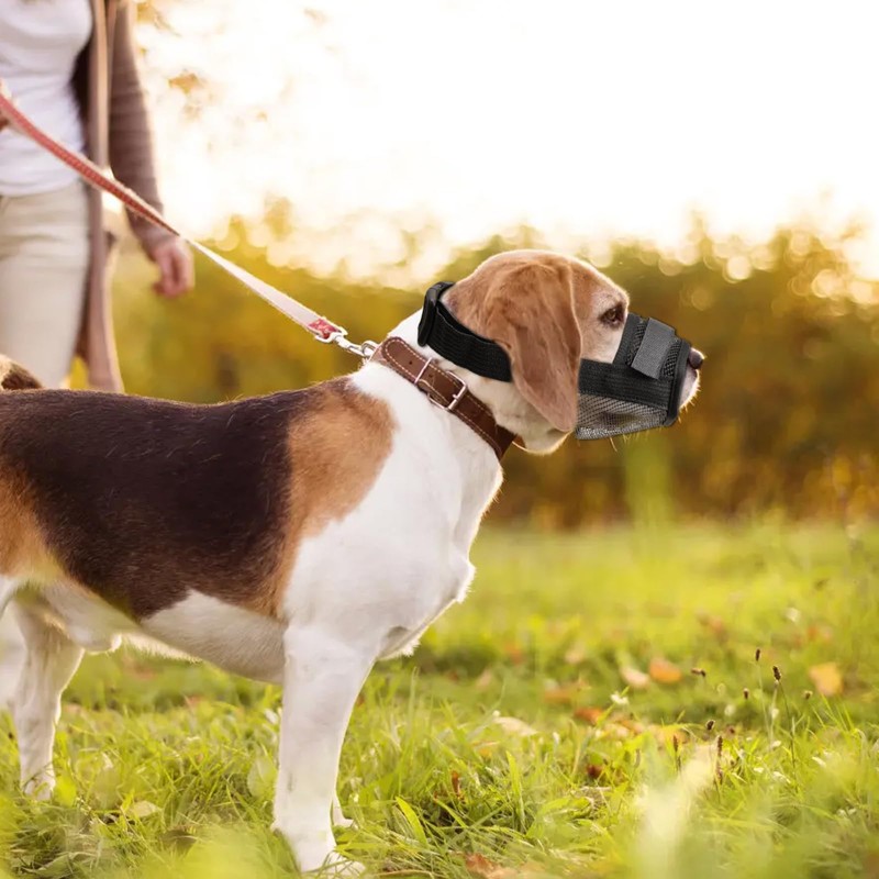 Viiotu Dog Muzzle, Anti Barking Device for Small, Medium, Large