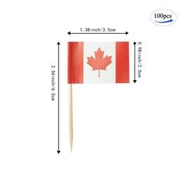 Canada Flag Canadian Small Toothpick Flag Decor Mini Cupcake Toppers Cocktail Food Flags Decorations (100 pcs)