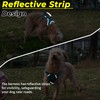 Escape Proof Dog Harness and Leash Set, Lightweight Dog Harness