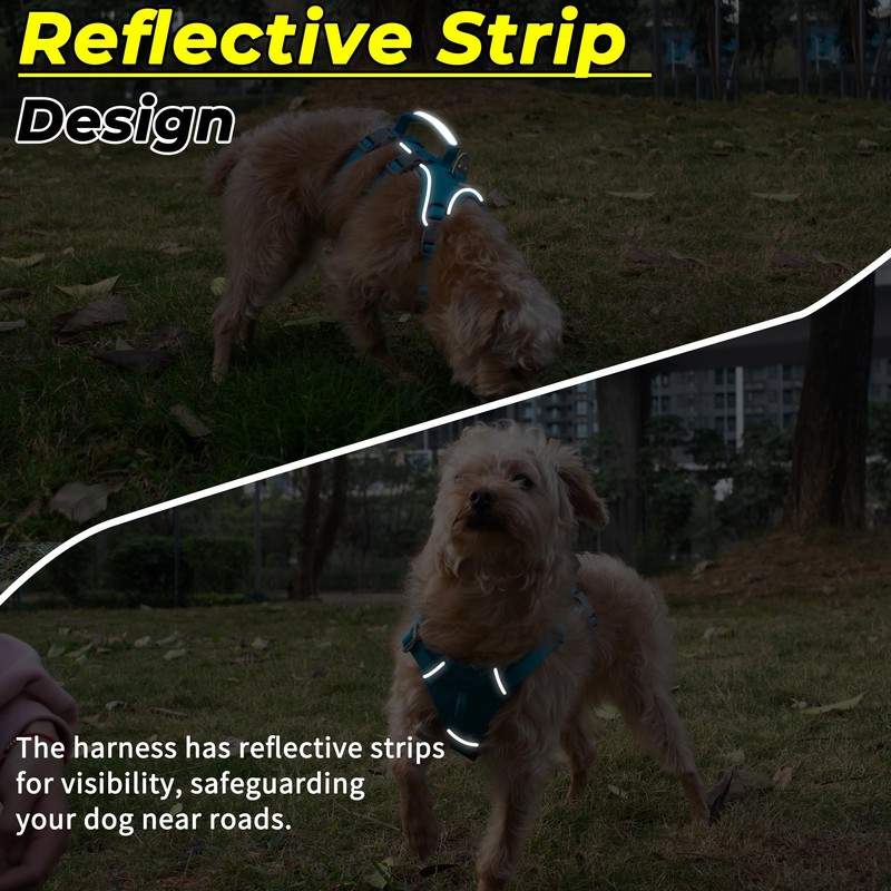 Escape Proof Dog Harness and Leash Set, Lightweight Dog Harness