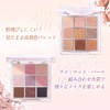 jill leen. Gilleen Shining 9 Colors Mini Eyeshadow Palette (GM12),