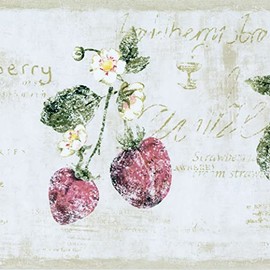 Concord Wallcoverings Wallpaper Border Floral Pattern Strawberry Flowers Leaves Words for Kitchen Dining Area Cottage Farmhouse, Gray Beige Red Green, 15 ft by 7 in RY3291B