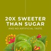 MONK FRUIT SWEETENER LIQUID - MONK FRUIT EXTRACT - No